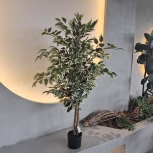 Quality Hypoallergenic Plastic Fake Plants Insect Resistant 120CM wholesale