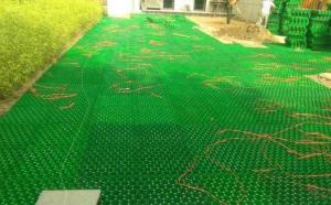 Quality High Strength Plastic Driveway Pavers Plastic Grass Lawn Grid wholesale