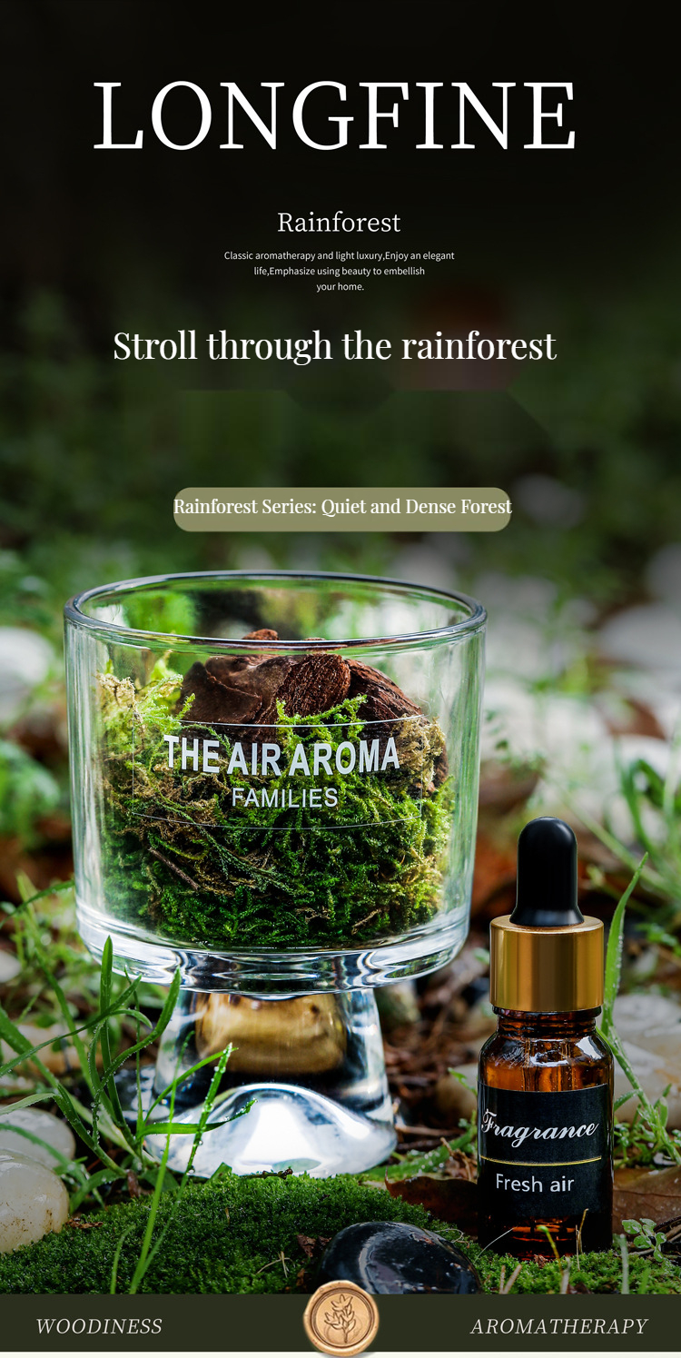 Customized Color Luxury 100ml Moss Reed Diffuser Set with Nature-Inspired Scented Oil