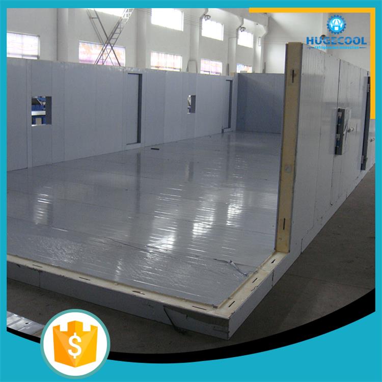 20 years experience cold storage cold room building material price