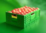 Green Heavy Duty Transportation Plastic Crate for Warehouse and Supermarket