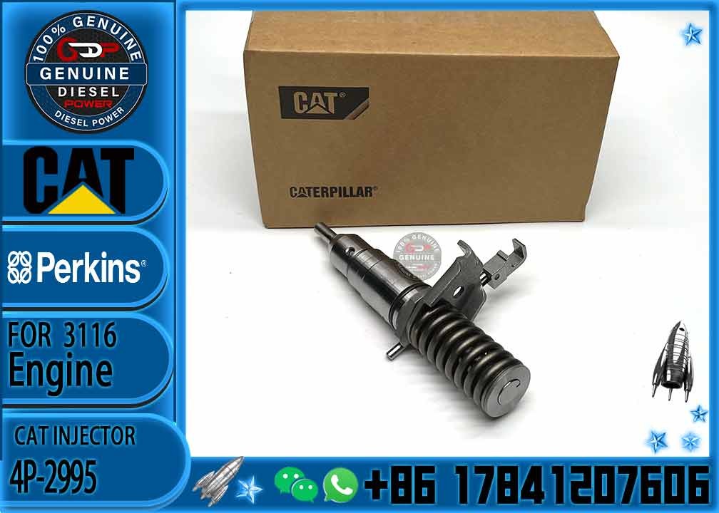 3116 Engine Fuel Injector 4P-2995 162-0212 162-0218 418-8820 0R-8461 0R-8469 0R-8465