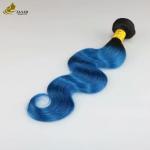 Colored Bundles Remy Ombre Human Hair Extensions Double Drawn
