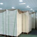 Food Grade PE Coated Paper Sheet Disposable Paper Cups Sheet FSC Certified