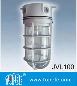 Quality 100W 220V Brozen, Gray IP65 Die-Cast Aluminum Vapor Proof Lights, Led Flood Lights wholesale