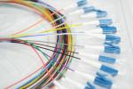 FOC LC SC APC UPC 8 12 Color Ribbon Fiber Pigtail