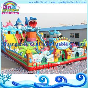 Quality Cheer Amusement Themed Inflatable Bouncer Manufacturer wholesale