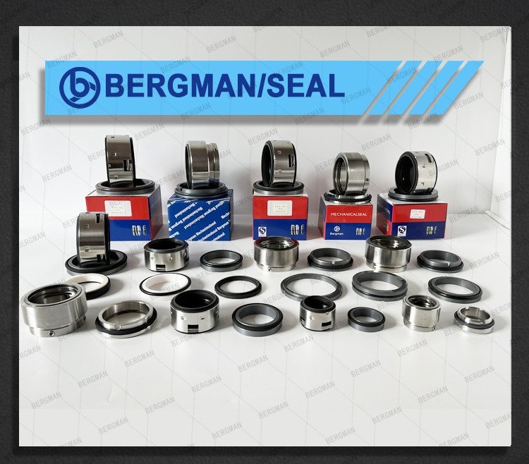 BERGMAN 58U 59U 24mm-80mm Lixin Dyeing Machine Pump Mechanical Seal