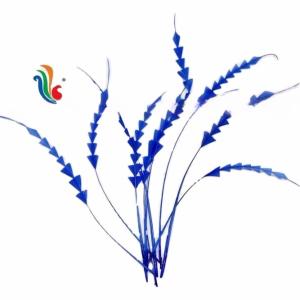 Quality Shipping DHL UPS FEDEX EMS TNT Event Party Supplies Stripped Rooster Coque Feathers wholesale