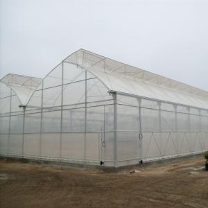 Quality 150-200micro Plastic Film Greenhouse Four Seasons With Whole System Flowers Vegetables Plants wholesale