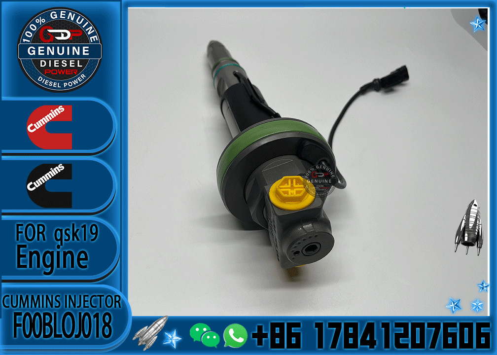 Common Rail Engine Accessories Diesel Injector 4964172 FOOBLOJ013 F00BLOJ013 FOR QSK38/50 n F00BLOJ018