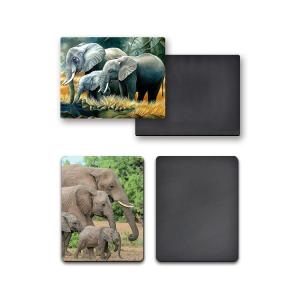 Quality Gifts Custom Fridge Magnets CMYK Printing wholesale