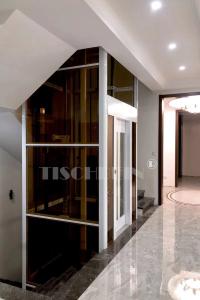 Quality 304 Stainless Steel Cabin Silent Running Home Elevator 320kg 400kg 450kg Suitable For Wheelchair Entering For The Older wholesale