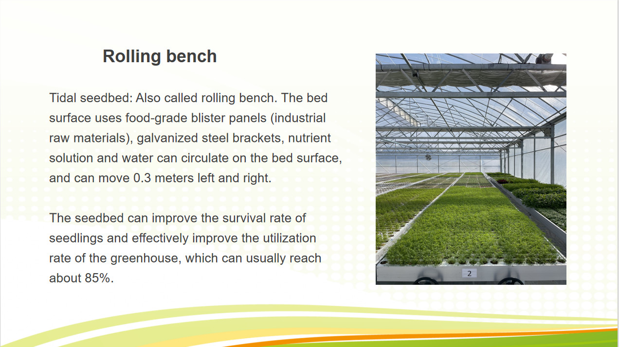 Venlo Greenhouse Commercial Polycarbonate Glass Greenhouse For Seeds Vegetables Hydroponic Tomato