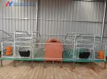 Steel Piggery House Onsite Installation Chicken Shed Construction