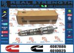 Fuel Injector Assembly 4928260 For Cummins 4087886 4087890