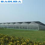 200 Micron PE Film Multi Span Greenhouse Structure / Polyethylene Foil