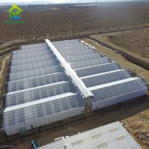 Quality Full Bloom Light Deprivation Greenhouse Automated Interior Blackout Greenhouses wholesale
