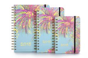 Quality 100gsm Organizer Planner Book Hardcover Spiral Binding 148x210mm wholesale