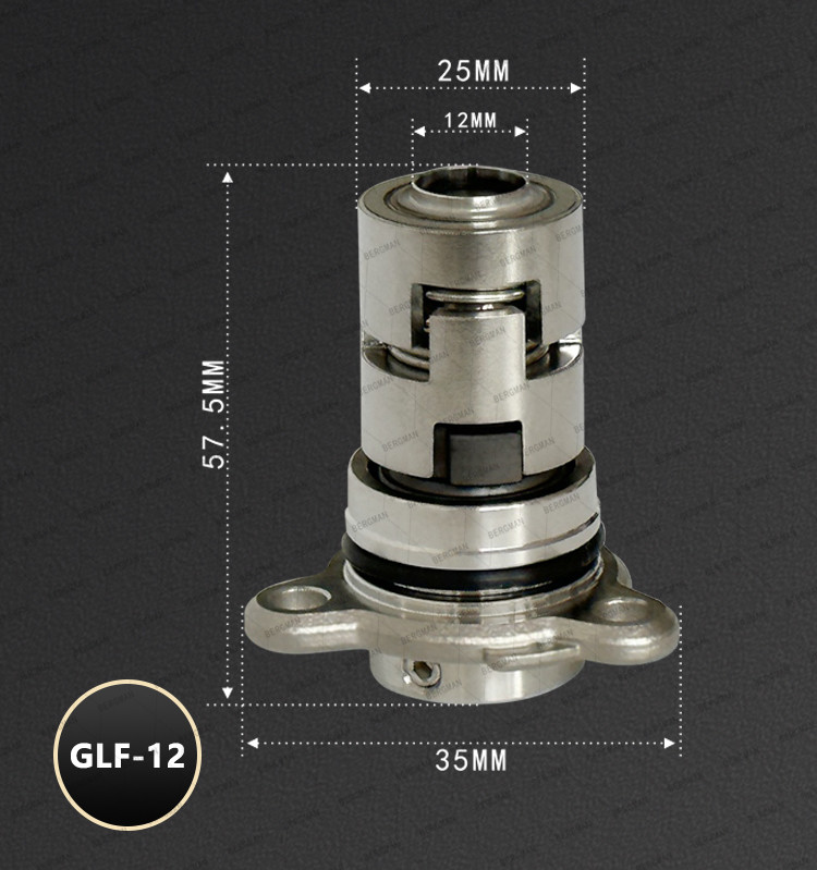 BERGMAN Replace Grundfos GLF-CR-12 16 Mm Three Holes Pump Mechanical Seal CAR SIC TC VITON EPDM
