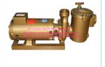 Brass swimming pool equipment Centrifugal Pump Big Filtration Sea Water
