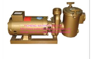 Quality Brass swimming pool equipment Centrifugal Pump Big Filtration Sea Water wholesale