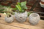 home dicorative wicker garden baskets wicker flower plant baskets manufacturer