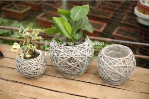 Quality home dicorative wicker garden baskets wicker flower plant baskets manufacturer wholesale