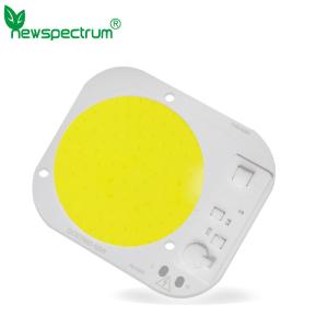 Quality 240V COB LED SMD Energy Efficient wholesale