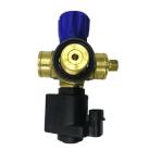 Solenoid CNG Cylinder Valve Car Gas Valve DC12V For Auto Gas Fuel System