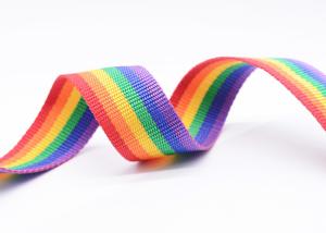 Quality T008 Rainbow Stripe Polyester Webbing Trim wholesale