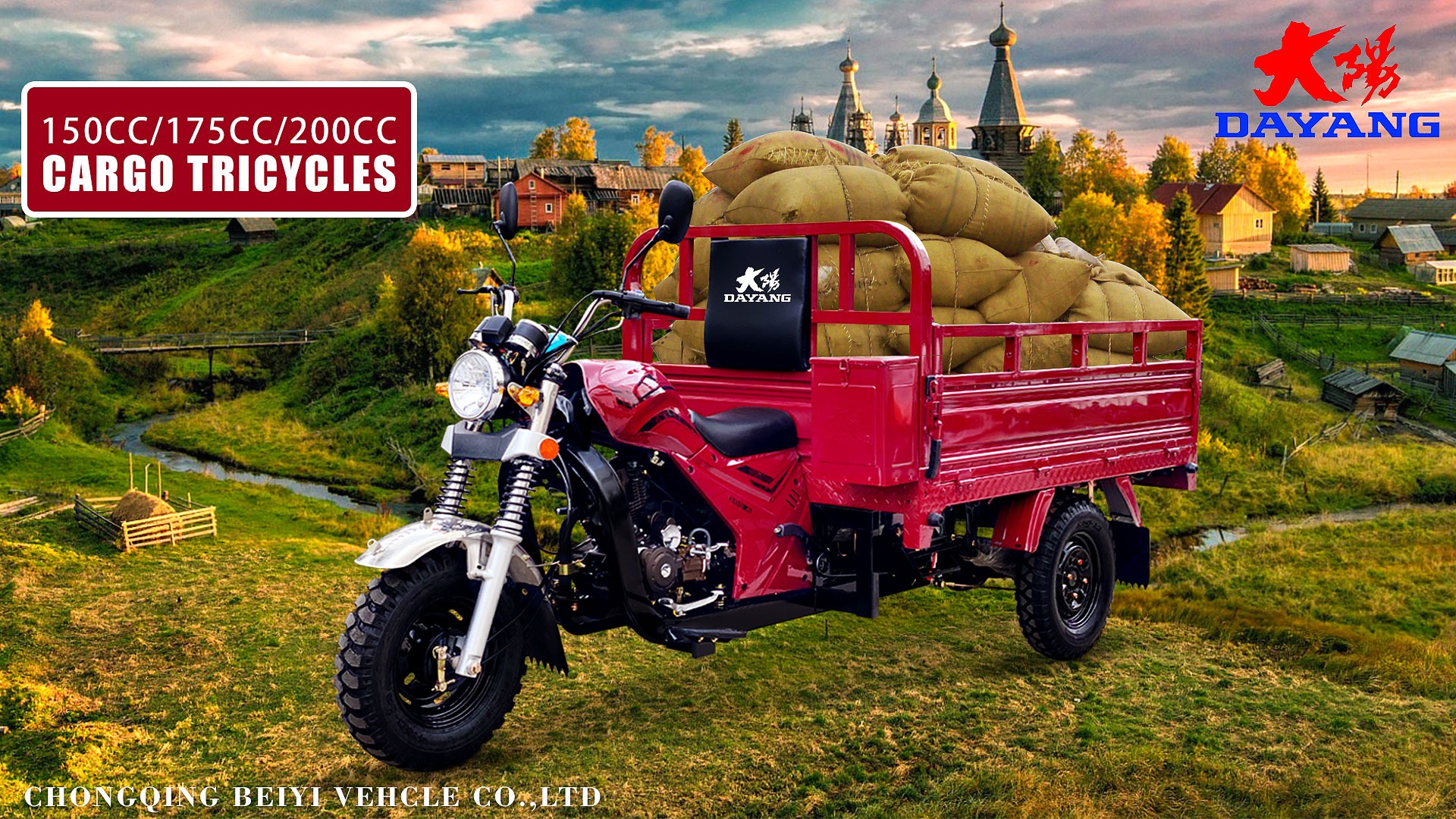 DAYANG Prince 150CC/175CC/200CC Cargo Tricycle for Africa and Southeast Asia Market