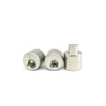 Eccentric Adjusting Stainless Steel Screw Rear Axle 4.9X13 Polished SUS304
