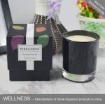 NO Toxins Natural Scented Candle Water - Soluble With No Petro Soot Emissions