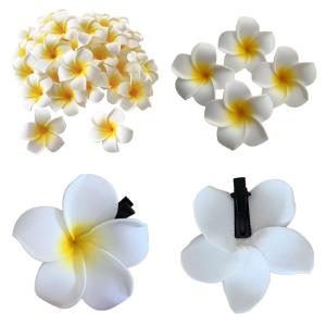 Quality Frangipani Hair Clip with Various Designs for Your Assessory Collection wholesale