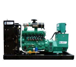 Quality Nature Gas Biogas LPG Gas Generator wholesale