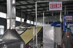 Quality Cereal Grain Fried Instant Noodles Machinery Manufacturers 50hz Frequency wholesale