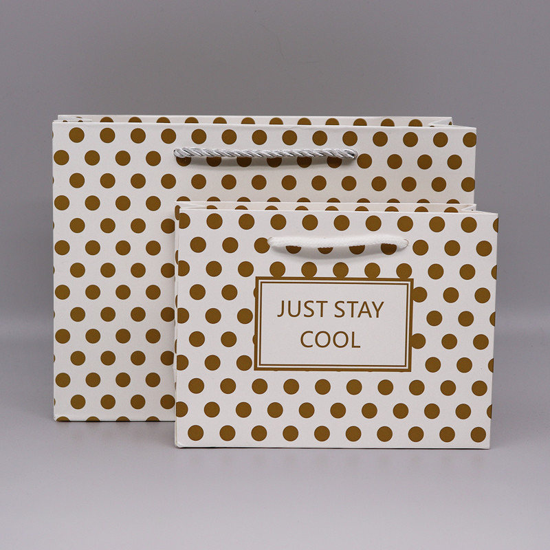 OEM / ODM Customization Twisted Handle Paper Packing Bag For Clothing