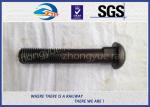 Railroad Track Bolts Fish Bolts hexagon head bolt for railway fastening system