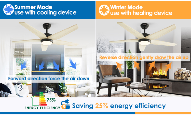 led ceiling fan