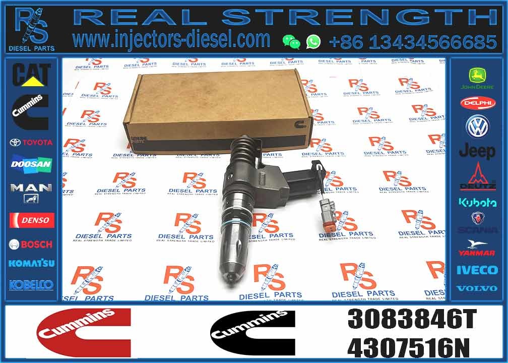 14 Common Rail Fuel Injector 3411764 3081315F 3073995F 3083846T 3083848F 3411766F