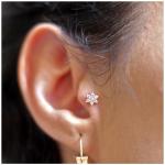 Flower Shape Ear Piercing Jewellery 316 Stainless steel Ear Cartilage Earrings