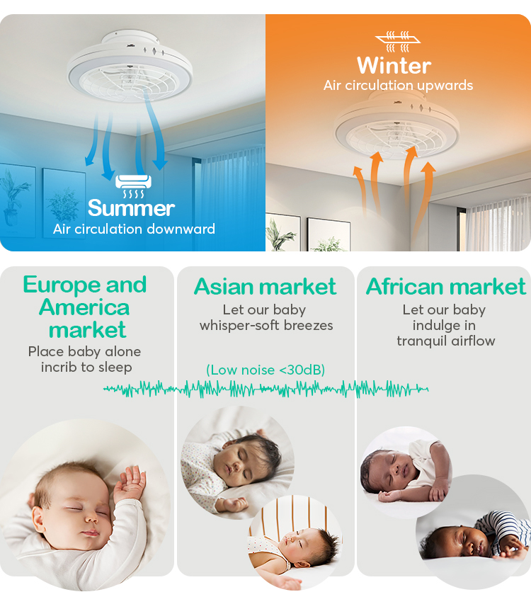 Silent High Speed 20 Inch LED Ceiling Fan with Smart Control and Decorative Lighting