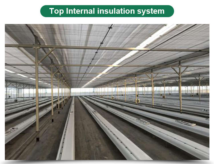 Multi-Span Agricultural Greenhouses Advanced Hydroponic Growing System for Section 4m/8m