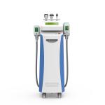 Zelti Sculpting multifunction cryo cellulite reduction cavitation+RF+vacuum