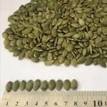 Competitive Price Bulk Supply Organic Pumpkin Kernel Pumpkin Seed hot selling in