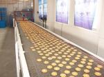 Paper Mill Conveying Waste Paper Chain Conveyor