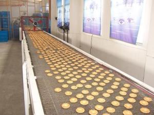 Quality Balanced Belt / Spiral Conveyor Belt/ Ladder Belt/Double Spiral Belt/Conveyor Belt wholesale
