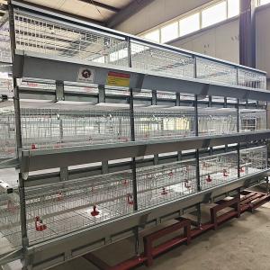 Quality 108 Chickens High Brood Survival Rate Broiler Cage System For Little Chick wholesale