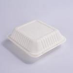Custom Logo Sugarcane Bagasse Clamshell 9 Inches Hamburger Takeaway Salad Bowls